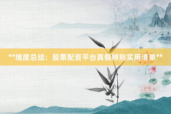 **维度总结：股票配资平台真假辨别实用清单**