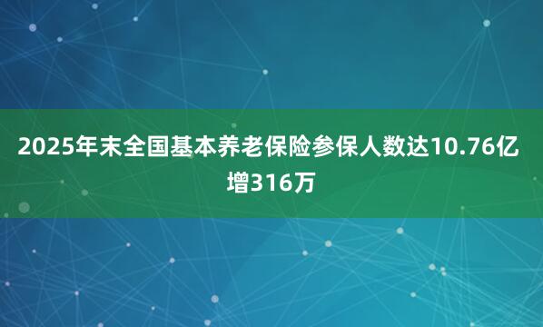 2025年末全国基本养老保险参保人数达10.76亿 增316万
