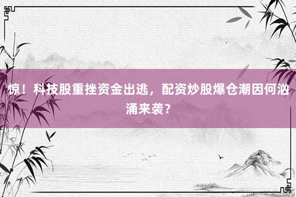 惊！科技股重挫资金出逃，配资炒股爆仓潮因何汹涌来袭？